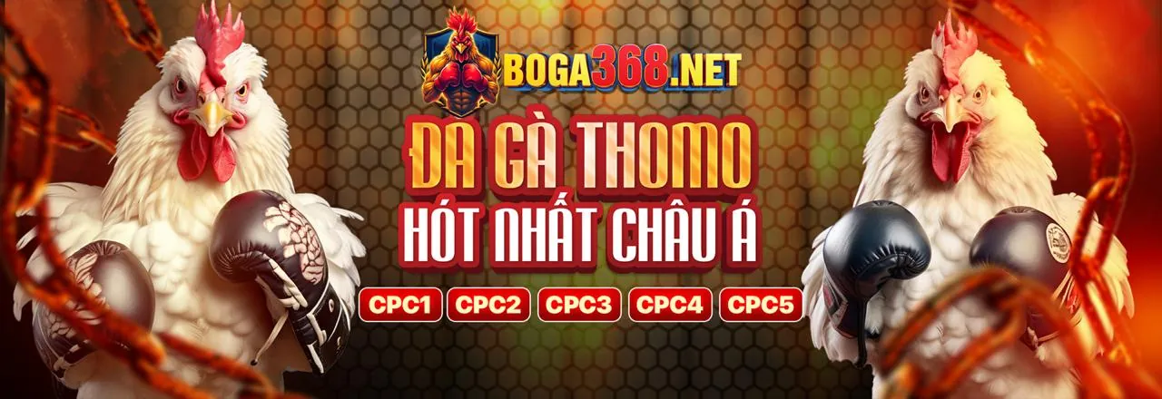 Khám phá các loại game hấp dẫn tại vs368